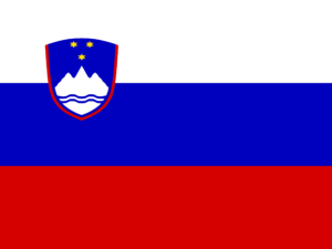 69616c9de07bf-SVN.png Slovenia